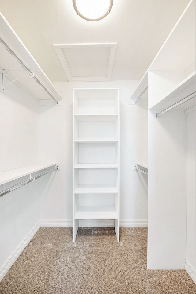 spacious closet with light carpet