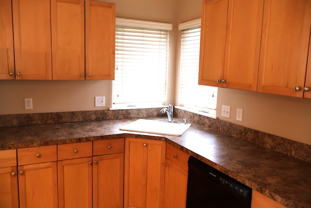 kitchen with dark countertops, dishwasher, and a sink