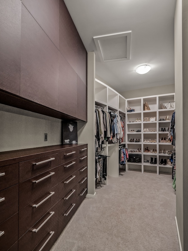 walk in closet with light carpet