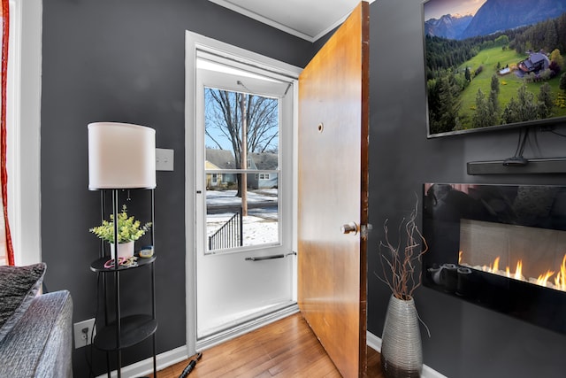 doorway with hardwood / wood-style floors and plenty of natural light