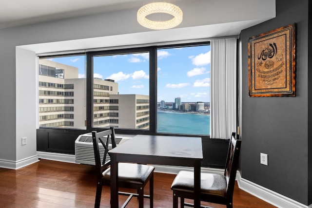 dining room with a wealth of natural light and dark hardwood / wood-style floors