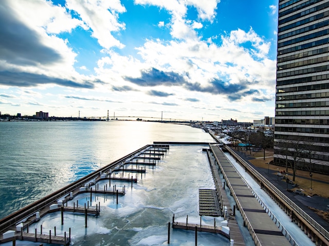 dock area with a water view