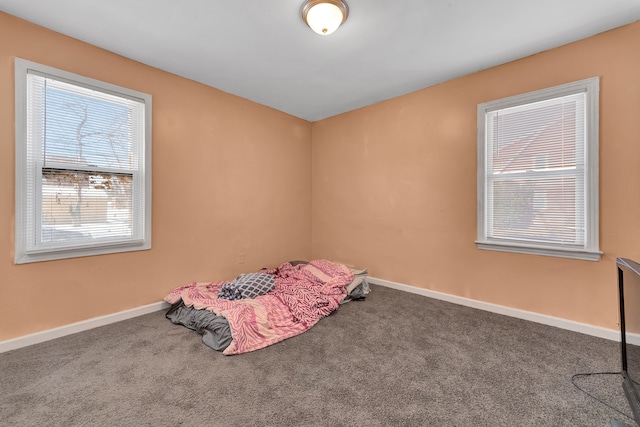 interior space featuring carpet floors