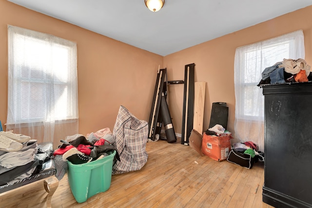 interior space with multiple windows and light hardwood / wood-style flooring