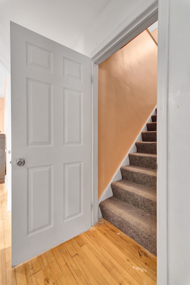 stairs with hardwood / wood-style flooring