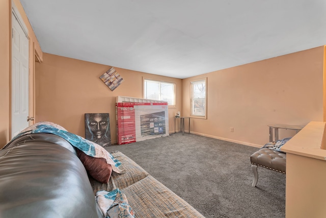 living room featuring carpet floors