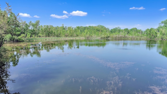 water view featuring a forest view