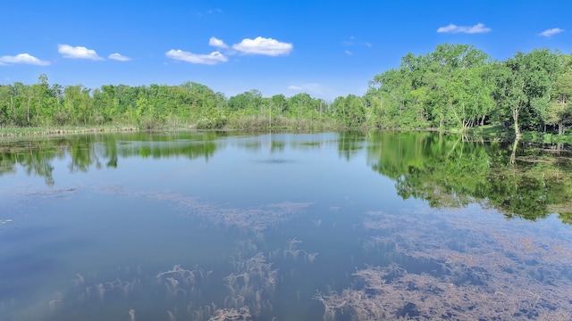 property view of water featuring a wooded view