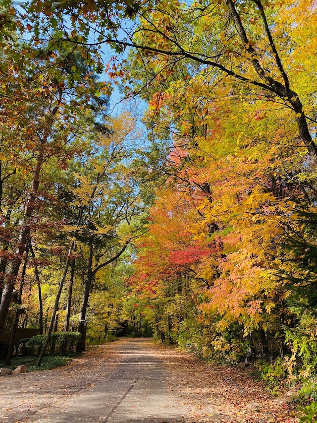 surrounding community with a forest view