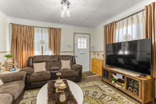 carpeted living room with a textured ceiling