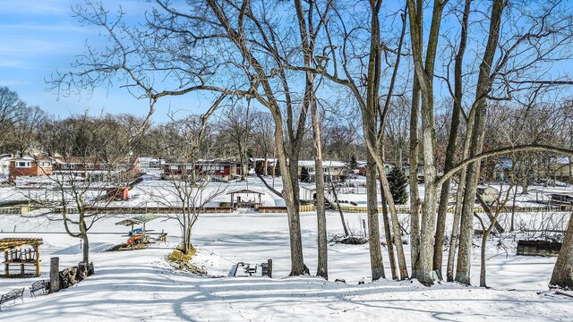 view of yard covered in snow