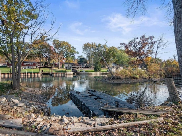 property view of water