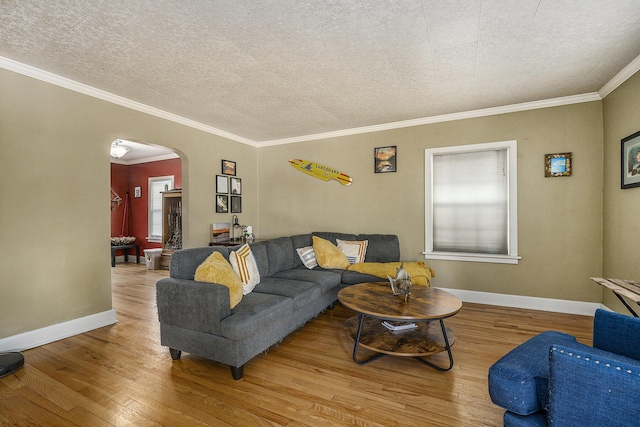 living room featuring crown molding, a healthy amount of sunlight, and light hardwood / wood-style floors