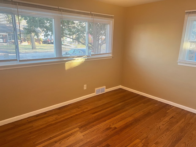 spare room featuring hardwood / wood-style flooring and plenty of natural light