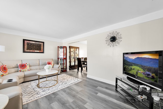 living room featuring hardwood / wood-style flooring