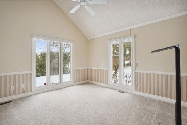 carpeted spare room featuring ceiling fan, high vaulted ceiling, and a textured ceiling