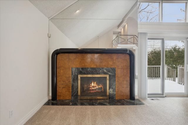 details with a premium fireplace and carpet