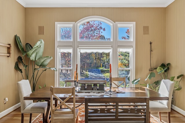 dining space featuring hardwood / wood-style flooring, ornamental molding, and plenty of natural light