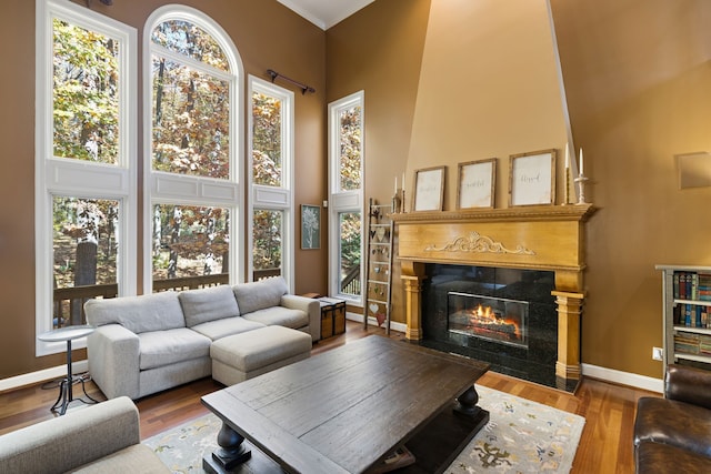 living room with a towering ceiling, a premium fireplace, and hardwood / wood-style floors