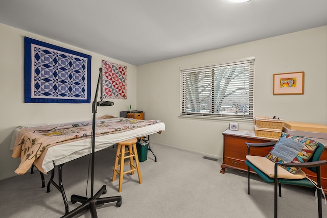 office featuring light colored carpet