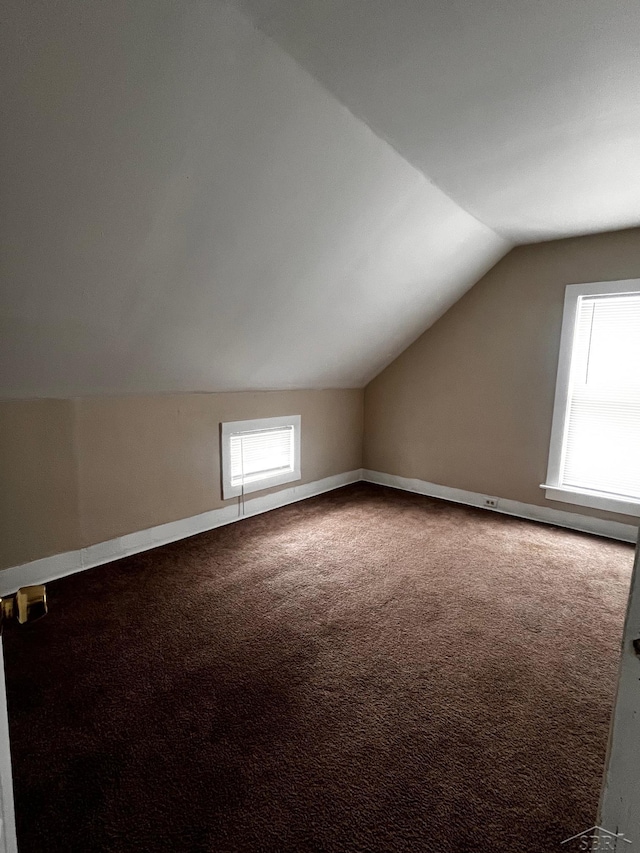 bonus room featuring vaulted ceiling and carpet