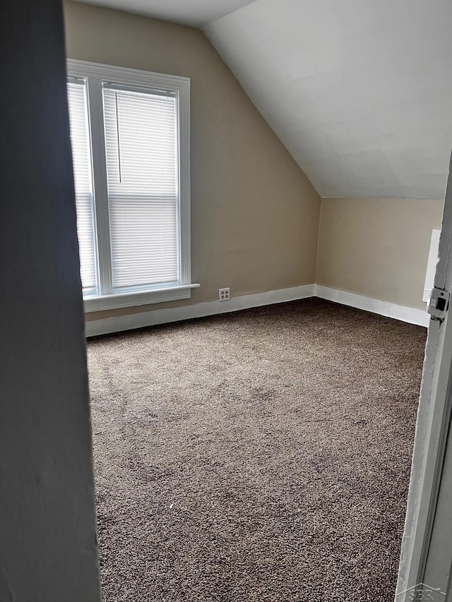 additional living space featuring lofted ceiling and carpet floors