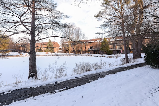 yard covered in snow with a residential view