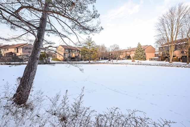 yard covered in snow featuring a residential view