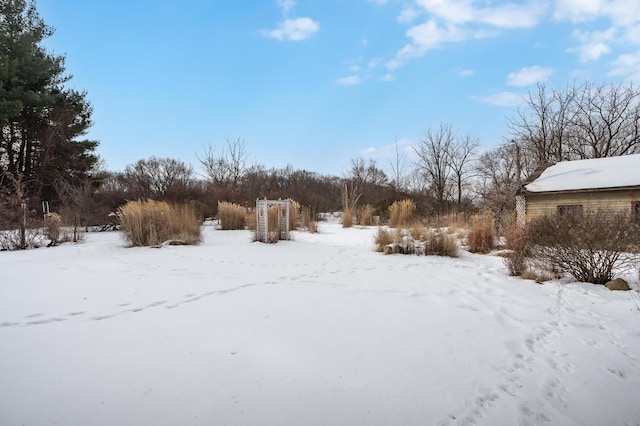 view of yard layered in snow