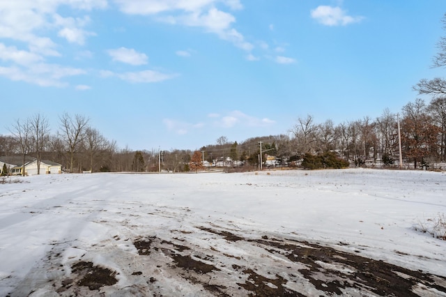 view of yard layered in snow