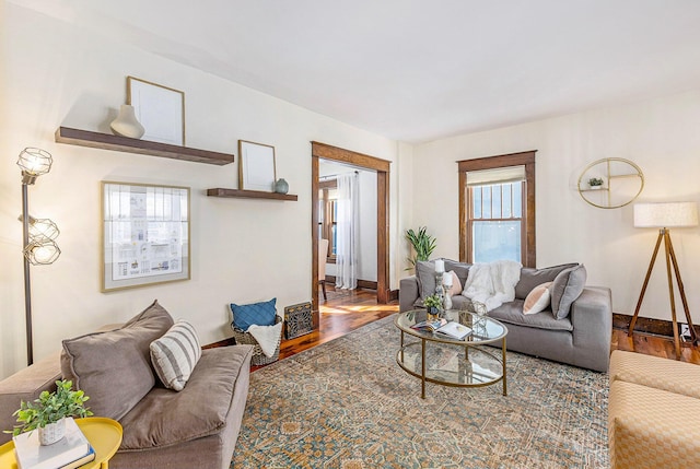 living room with wood-type flooring