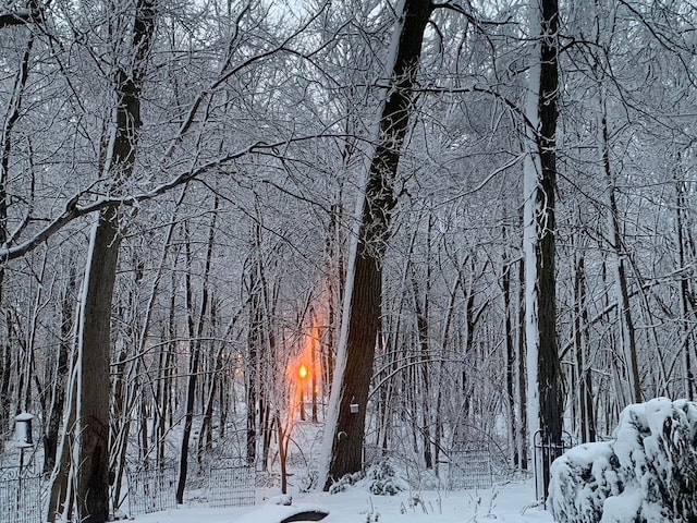 view of snowy landscape