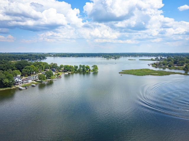 2860 Chadwick Dr, Waterford, MI 48328 - view of water feature