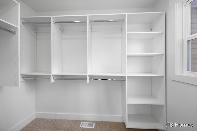 3432 Conrail Dr, Byron Center, MI 49315 - walk in closet with carpet floors