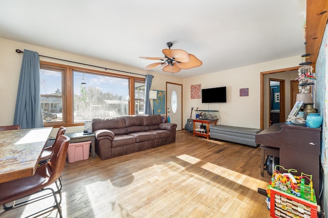 living room with ceiling fan and light hardwood / wood-style floors