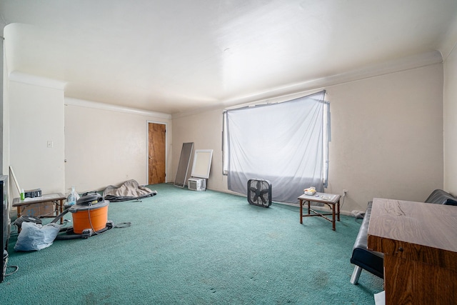 miscellaneous room with ornamental molding and carpet flooring