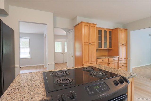 6868 Vachon Dr, Bloomfield Hills, MI 48301 - kitchen with black appliances, light wood-style flooring, light stone countertops, glass insert cabinets, and baseboards
