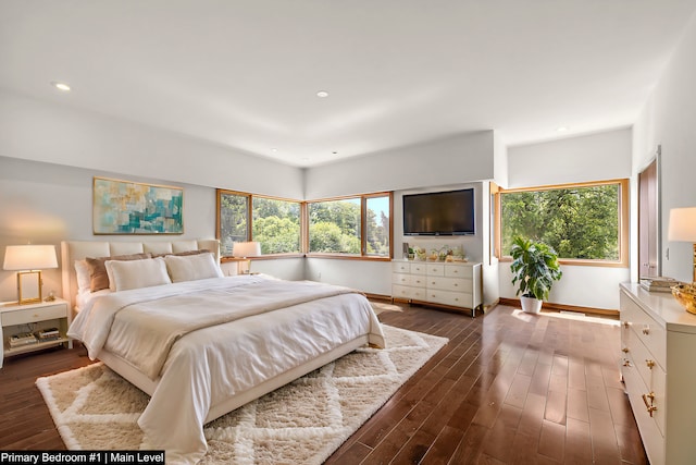 bedroom with dark hardwood / wood-style floors