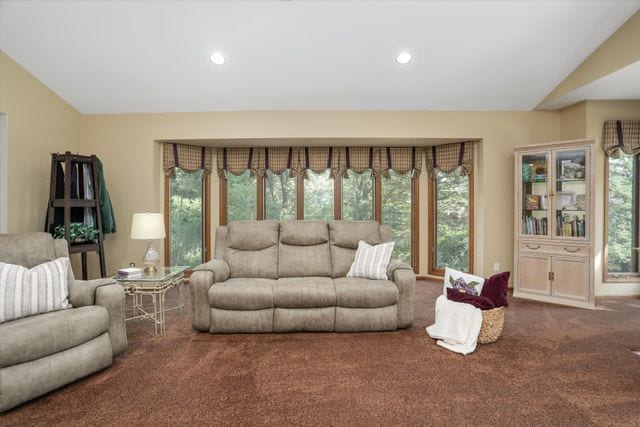 carpeted living room featuring lofted ceiling and a wealth of natural light