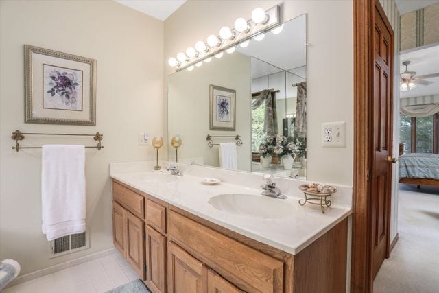 bathroom featuring vanity and a wealth of natural light