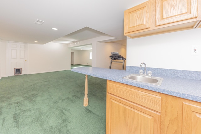 kitchen with sink, carpet, and light brown cabinets