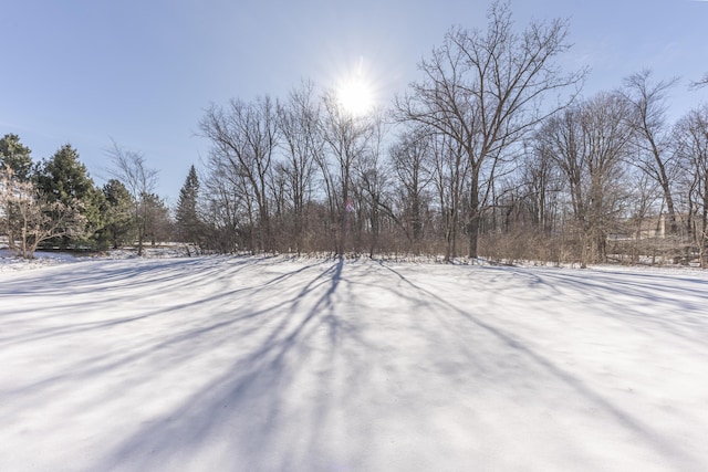 view of yard covered in snow