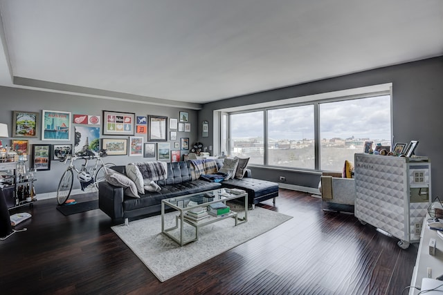 living room with dark hardwood / wood-style flooring