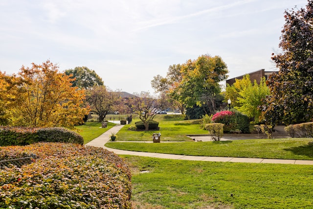 surrounding community featuring a yard