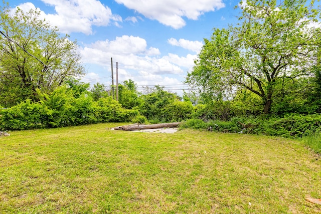 view of yard