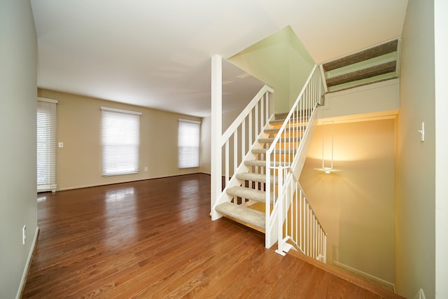 stairs with hardwood / wood-style floors