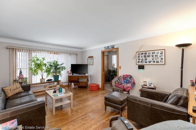 living room featuring hardwood / wood-style flooring