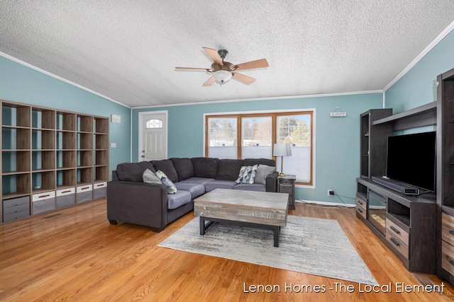 living room with crown molding, a textured ceiling, and light hardwood / wood-style floors