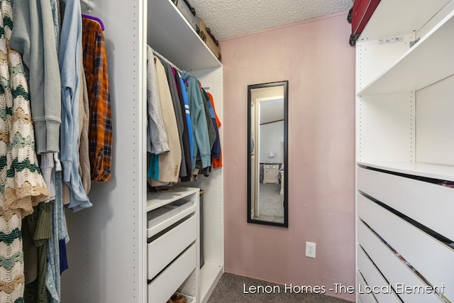 spacious closet with carpet floors