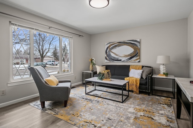 sitting room with hardwood / wood-style flooring